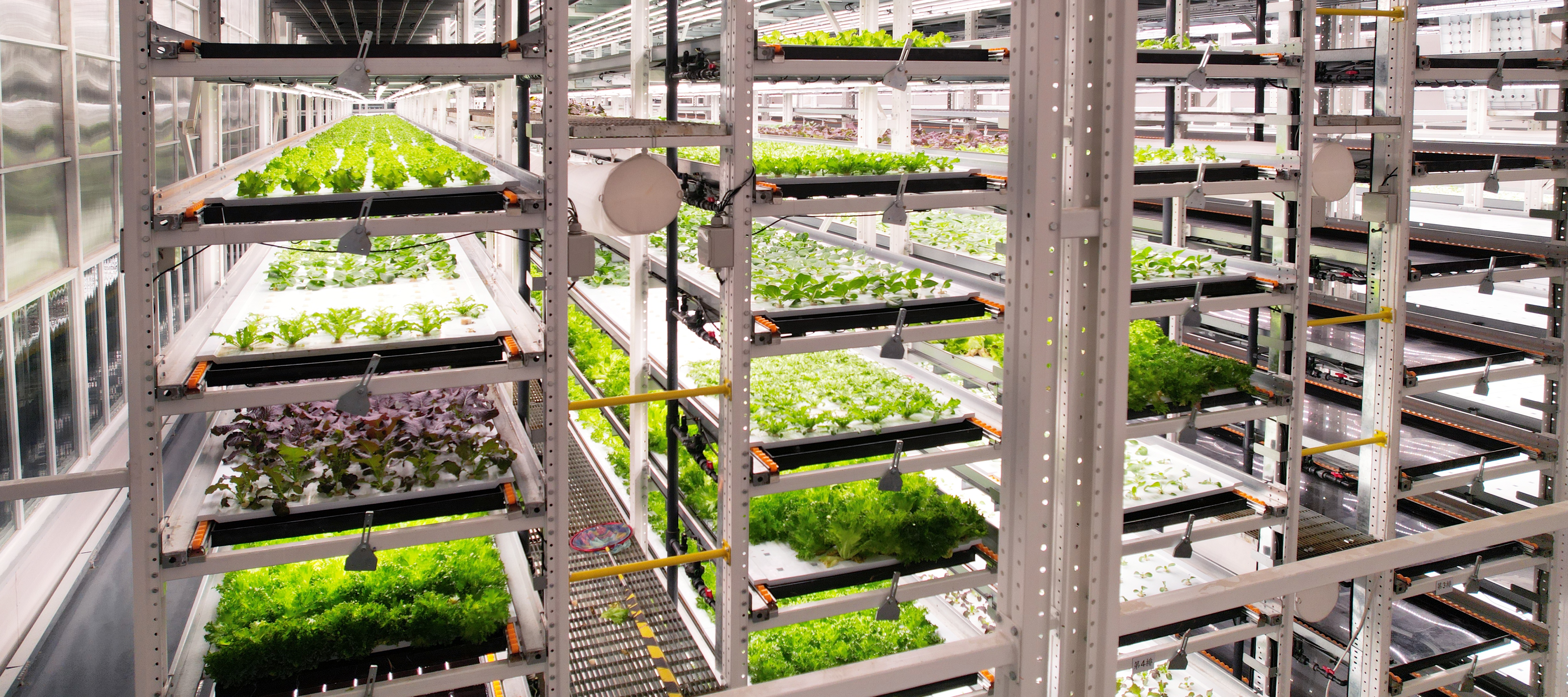 ֲ﹤߲20231206 (2)_ͼ.JPG